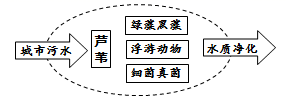 图片_x0020_100006