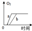 图片_x0020_100008