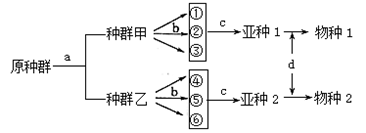 图片_x0020_701112702