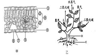 图片_x0020_100006