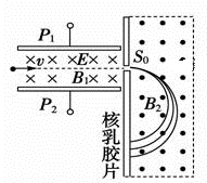 图片_x0020_100013