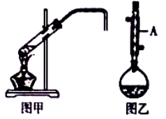 图片_x0020_1186870388
