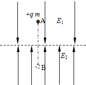_x0000_i1140