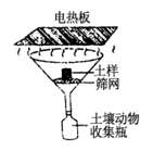 图片_x0020_100011