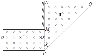 图片_x0020_100018