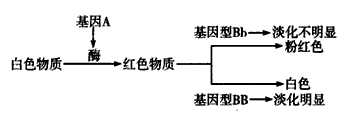 图片_x0020_100004