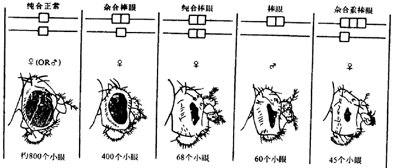 图片_x0020_100009
