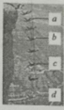 图片_x0020_100008