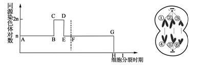 图片_x0020_896579276