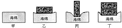 图片_x0020_100020