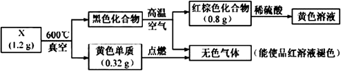 图片_x0020_1143676732
