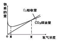 图片_x0020_100002