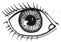 图片_x0020_11