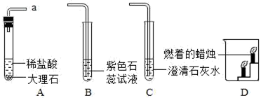 图片_x0020_95934681