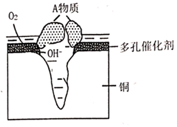 图片_x0020_100018