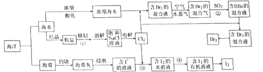 图片_x0020_100029