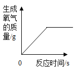 图片_x0020_1164401873