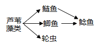图片_x0020_318988952