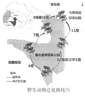 图片_x0020_1493346081