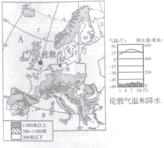 图片_x0020_8