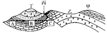 图片_x0020_100036