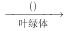 图片_x0020_158825300