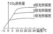 图片_x0020_1125560349