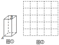 图片_x0020_1202128847