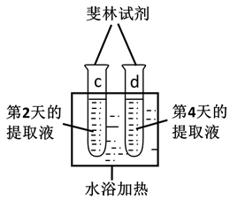 图片_x0020_100002