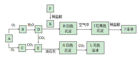图片_x0020_2097469117