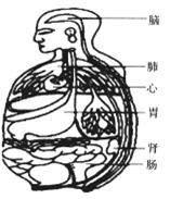 图片_x0020_8