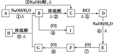 图片_x0020_100070