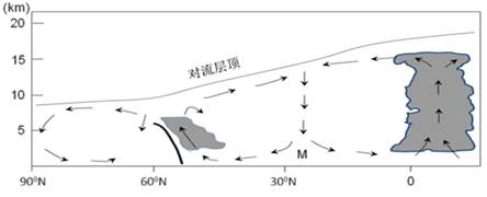 图片_x0020_100012