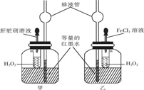 图片_x0020_100025