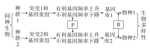 图片_x0020_566913420