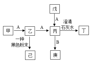 图片_x0020_2087433337