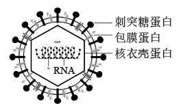图片_x0020_100001
