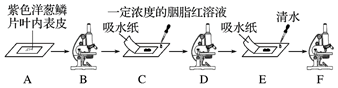 图片_x0020_100018