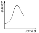 图片_x0020_100002