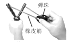 图片_x0020_100015