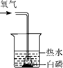 图片_x0020_100013
