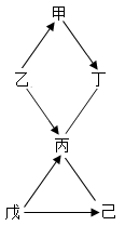 图片_x0020_133816343