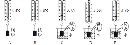Image1