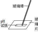图片_x0020_100003