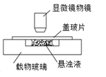 图片_x0020_100001