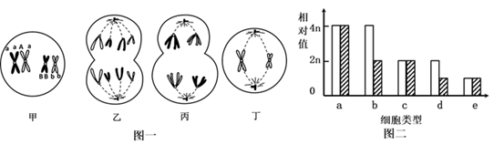 图片_x0020_1253612811