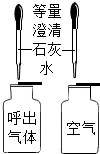 图片_x0020_137747817