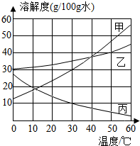 图片_x0020_100012