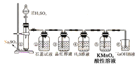 图片_x0020_1119532033