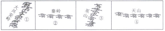 图片_x0020_1